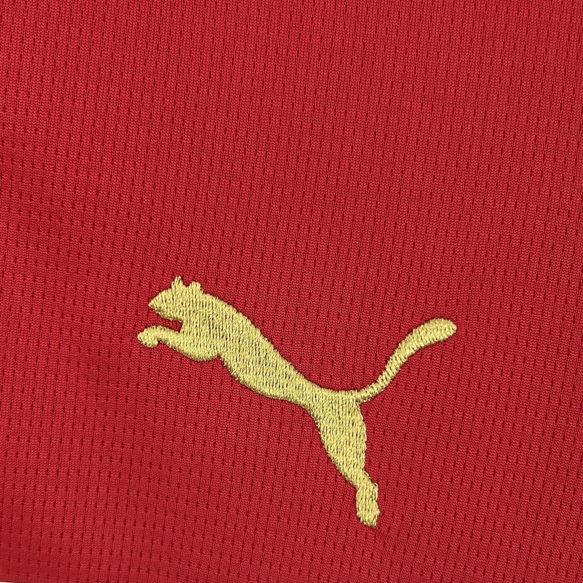 Morocco Home Shirt 26/27 - Red & Green - OFFICIAL FAN VERSION