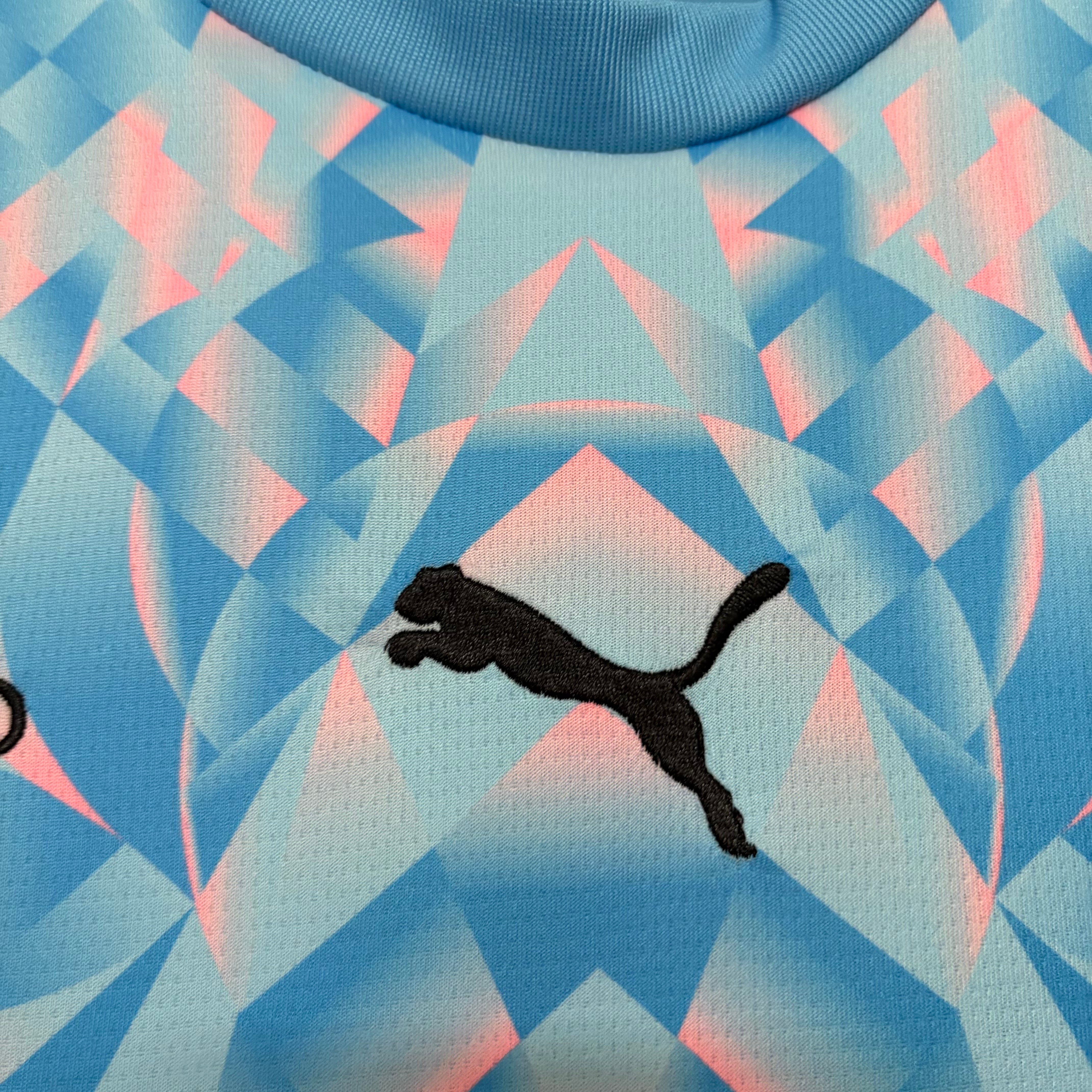 World Cup 2026 Switzerland Away Jersey